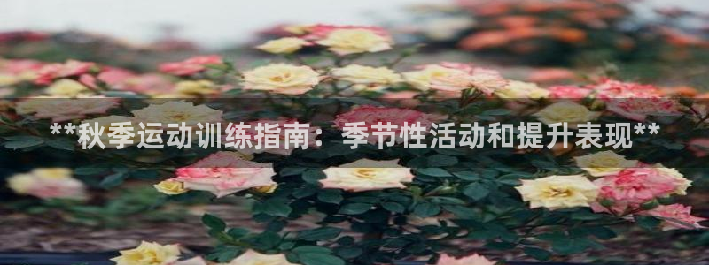 尊龙凯时注册：**秋季运动训练指南：季节性活动和提升