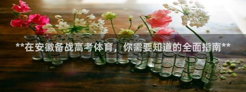 尊龙网址苹果版下载